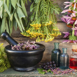 bunches of healing herbs on wooden wall, mortar, bottles and ber